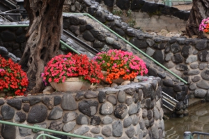 JEE_3419.JPG
